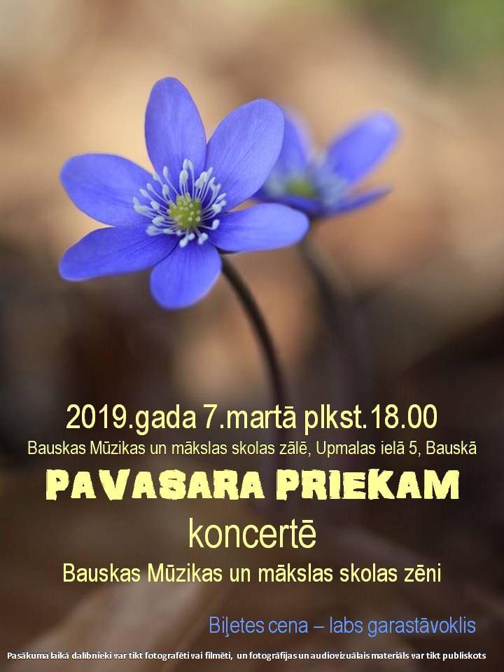 Zēnu koncerts Bauskas mūzikas un mākslas skolā