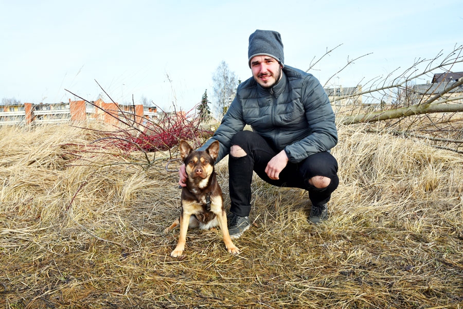 Sods par suņu nereģistrēšanu – bargs