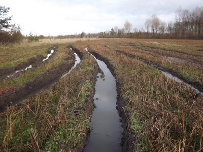 Mārtiņdienā starp mākoņiem parādīsies saules stari