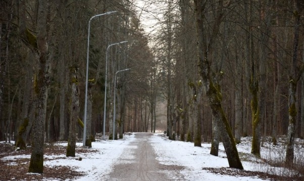 Nākamās nedēļas nogalē gaidāms jauns aukstuma vilnis; mēneša izskaņā iespējami +15 grādi