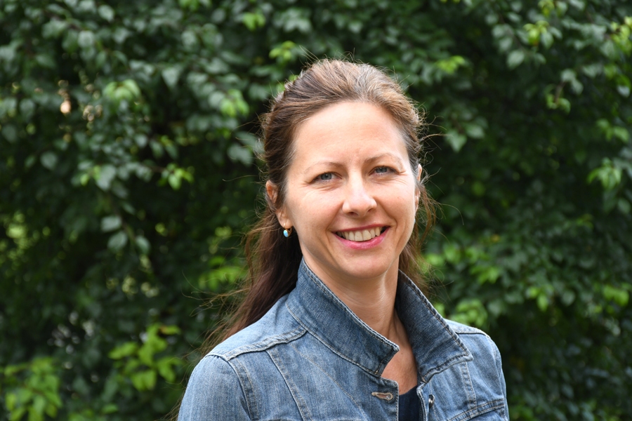 Cerības sabradā sistēma