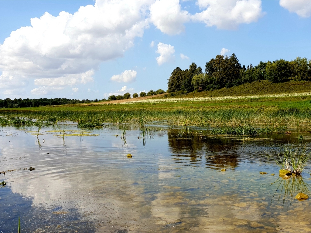 Plāno Lielupes tīrīšanas talku