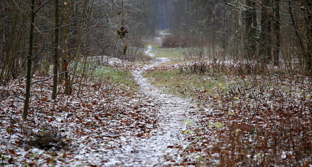 Nedēļas otrajā pusē gaidāms neliels sniegs, lietus un apledojums