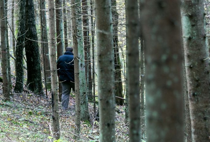 Dāviņu pagastā mežā apmaldās cilvēks