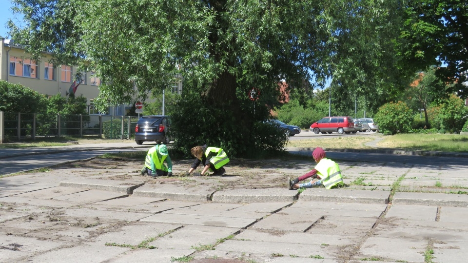 Sākas skolēnu elektroniskā reģistrācija dalībai NVA vasaras nodarbinātības pasākumā