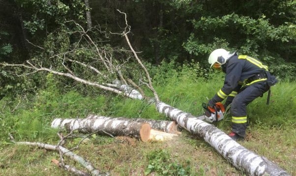 Ugunsdzēsēji glābēji no ceļa Iecava–Stelpe novāc nolūzušus kokus