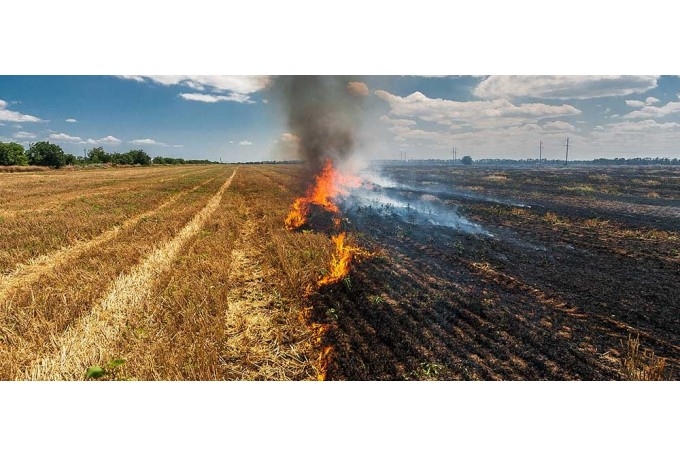 Četru hektāru platībā deg labības rugāji Mežotnes pagastā