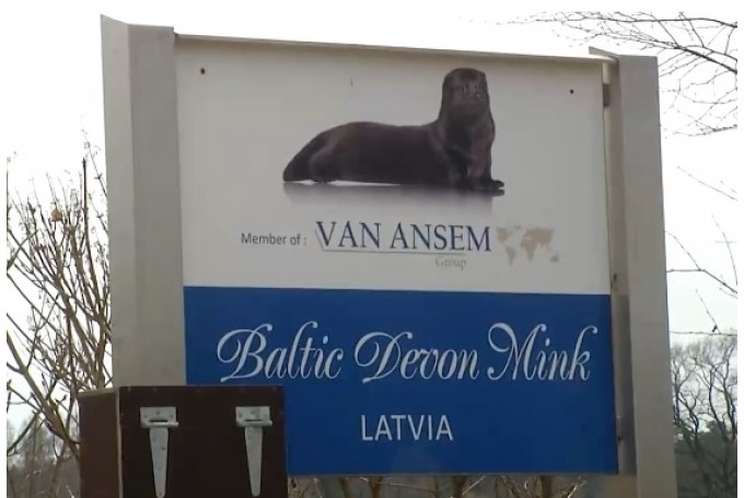 ZM: Kažokzvēru novietnēs būs jāievieš diennakts videonovērošana; novietnē "Baltic Devon Mink" Iecavā nav konstatēti pārkāpumi