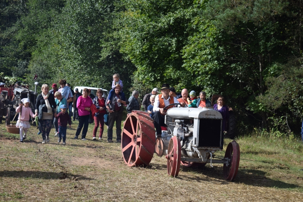 «Ausekļu dzirnavu» muzejā Bārbelē rīko Pļaujas svētkus