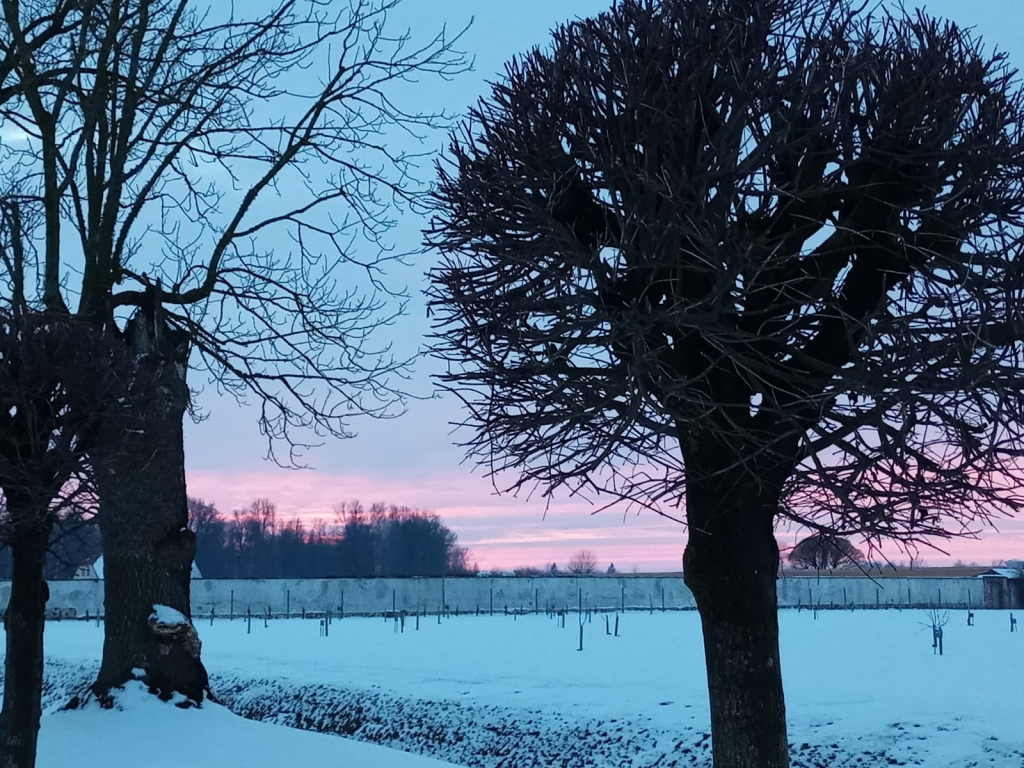 Vidzemē, gaisa temperatūrai noslīdot līdz -27 grādiem, spēkā oranžais brīdinājums