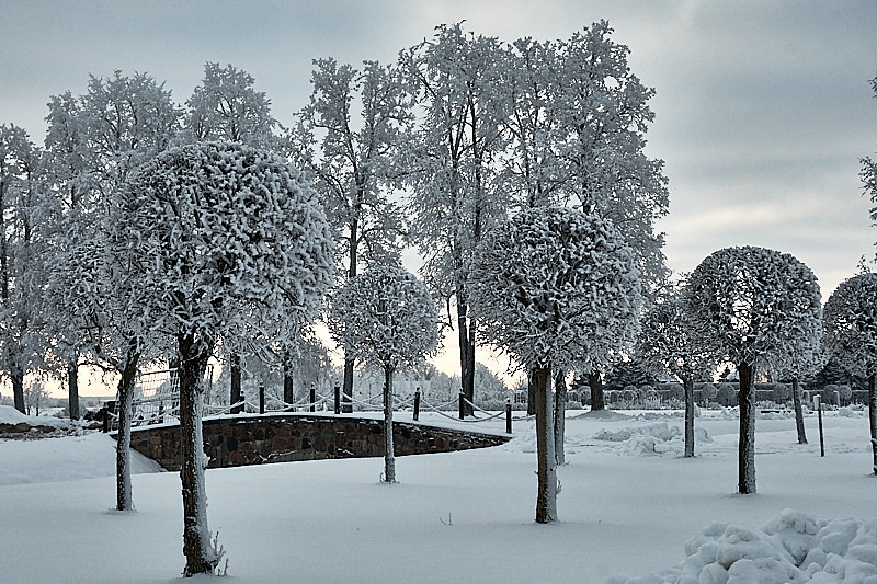 FOTO: Sniegotā ziema Bauskā un apkārtnē